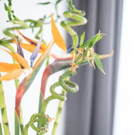 Mytheo 4* Mykonos Town