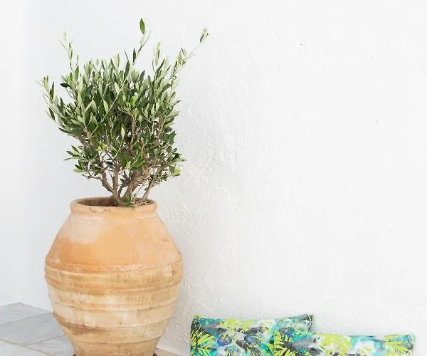 アパートホテル Mytheo Mykonos Town