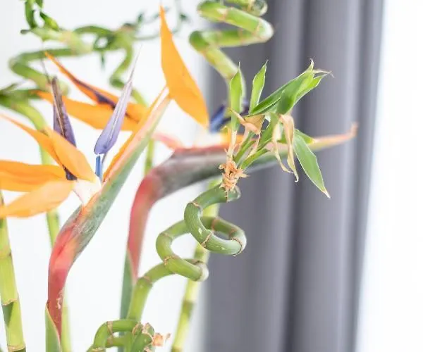 Mytheo 4* Mykonos Town